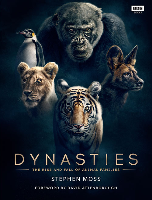 دانلود مستند خاندان ها Dynasties 2018
