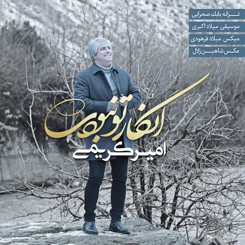 دانلود آهنگ جدید امیر کریمی به نام انگار تو نبودی Amir Karimi
