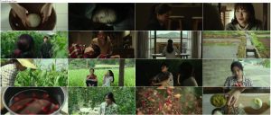 دانلود دوبله فارسی فیلم جنگل کوچک Little Forest 2018 دانلود فیلم کره ای لیتل فارست Little Forest 2018 با دوبله فارسی