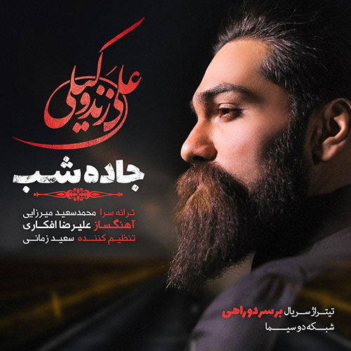 دانلود آهنگ تیتراژ سریال بر سر دوراهی با صدای علی زند وکیلی