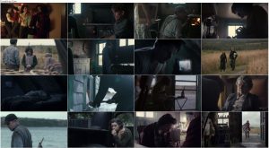 دانلود دوبله فارسی فیلم مائودی Maudie 2016 دانلود فیلم سینمایی مائودی Maudie 2016 با دوبله فارسی