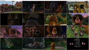 دانلود انیمیشن ماداگاسکار ۱ Madagascar 2005 دانلود کارتون ماداگاسکار Madagascar 2005 با دوبله فارسی
