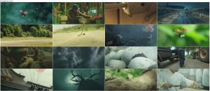 دانلود انیمیشن Minuscule 2: Mandibles From Far Away 2018 دانلود انیمیشن زندگی حشرات Minuscule 2: Mandibles From Far Away 2018