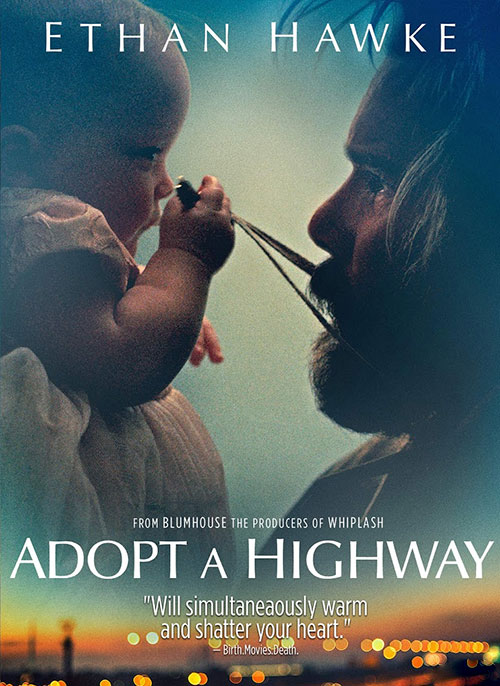 دانلود فیلم یک بزرگراه را تمیز کن Adopt a Highway 2019 دانلود دوبله فارسی فیلم یک بزرگراه را تمیز کن Adopt a Highway 2019