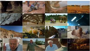 دانلود مستند Attenborough and the Giant Dinosaur 2016 مستند دیوید اتنبرو و دایناسور غول پیکر Attenborough and the Giant Dinosaur 2016