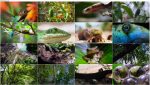 دانلود مستند دنیای کوچک Tiny World 2020