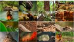 دانلود مستند دنیای کوچک Tiny World 2020