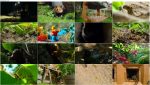 دانلود مستند دنیای کوچک Tiny World 2020