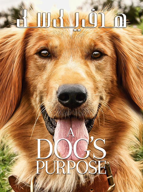 دانلود فیلم هدف یک سگ A Dog's Purpose 2017 دانلود فیلم هدف یک سگ زیرنویس فارسی A Dog's Purpose 2017