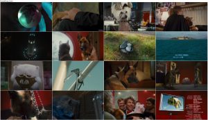 دانلود فیلم گربه ها و سگ ها Cats & Dogs: The Revenge of Kitty Galore 2010
