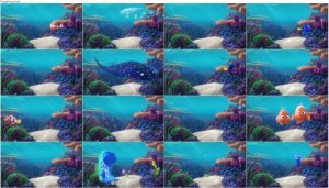 دانلود انیمیشن دوربین صخرهای دوری Dory's Reef Cam 2020 دانلود انیمیشن دوربین مرجانی دوری Dory's Reef Cam 2020