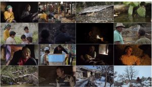 دانلود مستند سرزمین عسل Honeyland 2019