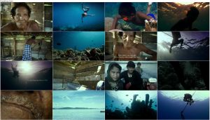 دانلود مستند جاگو: زندگی زیر آب Jago: A Life Underwater 2015 دانلود مستند جاگو: زندگی زیر آب Jago: A Life Underwater 2015