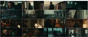 دانلود فیلم اجاره بها The Rental 2020