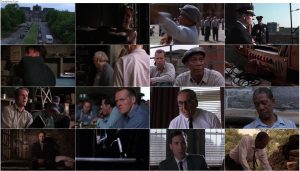 دانلود فیلم رستگاری در شاوشنک The Shawshank Redemption 1994 دانلود فیلم رستگاری در شاوشنک The Shawshank Redemption 1994