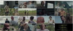 دانلود فیلم شاهین کره بادام زمینی The Peanut Butter Falcon 2019 فیلم فالکن کره بادام زمینی The Peanut Butter Falcon 2019