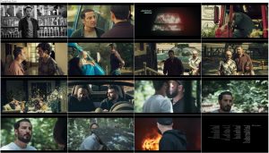 دانلود قسمت یازدهم سریال قورباغه با کیفیت عالی Full HD قسمت یازدهم سریال قورباغه, دانلود سریال قورباغه قسمت 11
