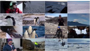 دانلود دوبله فارسی مستند Penguins: Life on the Edge 2020 https://www.doostihaa.com/img/uploads/2021/02/Penguins-Life-on-the-Edge-2020.jpg