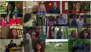 دانلود فیلم Horse Camp: A Love Tail 2020 فیلم اردوگاه اسب سواری: یک تعقیب عاشقانه Horse Camp: A Love Tail 2020