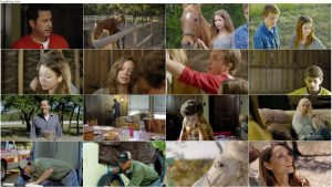 دانلود فیلم Pegasus: Pony with a Broken Wing 2019 فیلم پگاسوس: پونی با یک بال شکسته Pegasus: Pony with a Broken Wing 2019