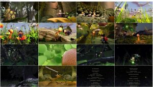 دانلود انیمیشن زندگی درختان The Life of Trees 2012 دانلود انیمیشن زندگی درختان The Life of Trees 2012