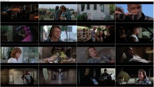 دانلود فیلم آنها زنده اند با دوبله فارسی They Live 1988 دانلود فیلم آنها زنده اند They Live 1988