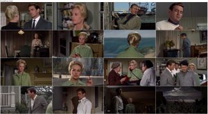 دانلود فیلم پرندگان با دوبله فارسی The Birds 1963 دانلود فیلم پرندگان با دوبله فارسی The Birds 1963