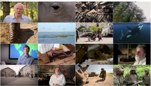 دانلود مستند انقراض: حقایق Extinction: The Facts 2020 مستند انقراض حقایق Extinction: The Facts 2020