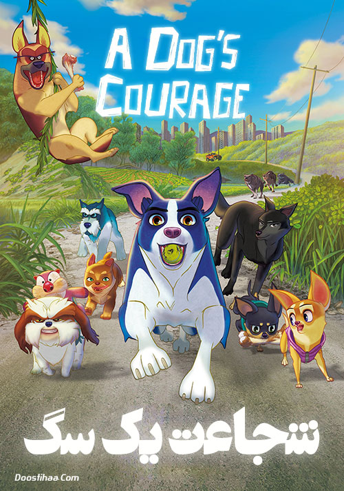 دانلود انیمیشن شجاعت یک سگ A Dog's Courage 2018 دانلود انیمیشن شجاعت یک سگ A Dog's Courage 2018