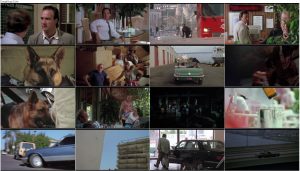 دانلود فیلم کی ۹ با زیرنویس فارسی K-9 1989 دانلود فیلم کی ۹ با زیرنویس فارسی K-9 1989