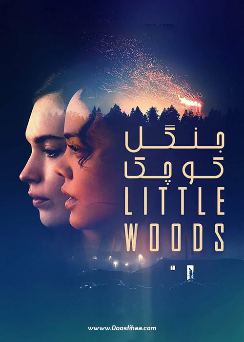 دانلود فیلم جنگل کوچک Little Woods 2018