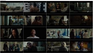 دانلود فیلم لوس Luce 2019 دانلود فیلم لوس Luce 2019