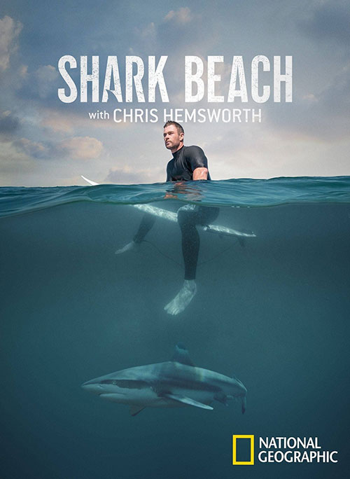 دانلود مستند Shark Beach with Chris Hemsworth 2021 مستند ساحل کوسه با کریس همسورث Shark Beach with Chris Hemsworth 2021