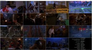 دانلود فیلم لاک پشت های نینجا Teenage Mutant Ninja Turtles II 1991 انیمیشن Teenage Mutant Ninja Turtles 2: The Secret of the Ooze 1991