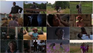 دانلود فیلم به رنگ ارغوان The Color Purple 1985