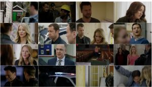 شواهد محکمه پسند: راز خانه قدیمی Concrete Evidence: A Fixer Upper Mystery 2017
