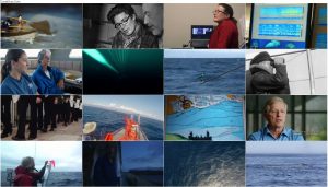 دانلود مستند تنهاترین نهنگ The Loneliest Whale 2021 دانلود مستند تنهاترین نهنگ The Loneliest Whale 2021