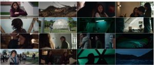 دانلود فیلم هجوم ملخ ها The Swarm 2020 دانلود فیلم هجوم ملخ ها The Swarm 2020