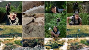 دانلود مستند حیوانات در حال فرار Animals on the Loose 2021 دانلود مستند حیوانات در حال فرار Animals on the Loose: A You vs. Wild Movie 2021