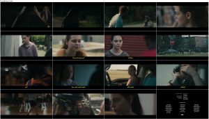 دانلود فیلم گاو نر Bull 2019 دانلود فیلم گاو نر Bull 2019