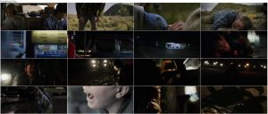 فیلم بازگشت به خانه در تاریکی Coming Home in the Dark 2021