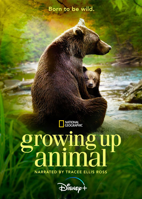 دانلود مستند رشد حیوانی Growing Up Animal 2021 دانلود مستند رشد حیوانی Growing Up Animal 2021