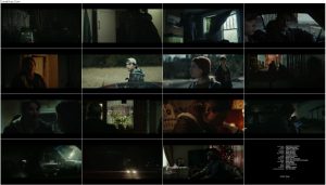دانلود فیلم وارث افعی Inherit the Viper 2019