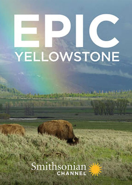 دانلود مستند پارک ملی یلواستون Epic Yellowstone 2019 دانلود مستند پارک ملی یلواستون Epic Yellowstone 2019