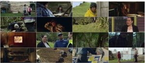 دانلود فیلم Hunt for the Wilderpeople 2016 دانلود فیلم شکار انسان های سرگردان Hunt for the Wilderpeople 2016