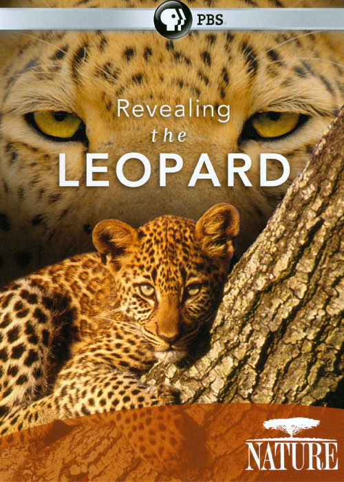 دانلود مستند فاش کردن دنیای پلنگ&zwnj;ها Revealing the Leopard 2010