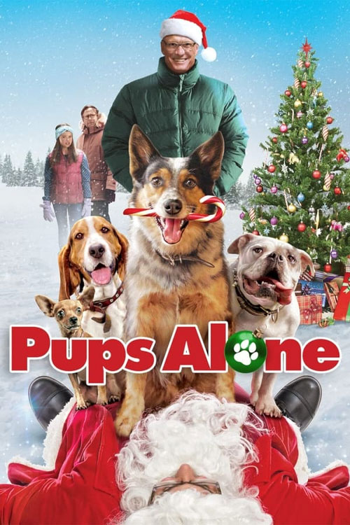 دانلود فیلم سگها در خانه Pups Alone 2021 دانلود فیلم سگ ها در خانه Pups Alone 2021