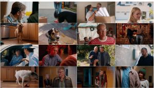 دانلود فیلم سگها در خانه Pups Alone 2021 دانلود فیلم سگ ها در خانه Pups Alone 2021