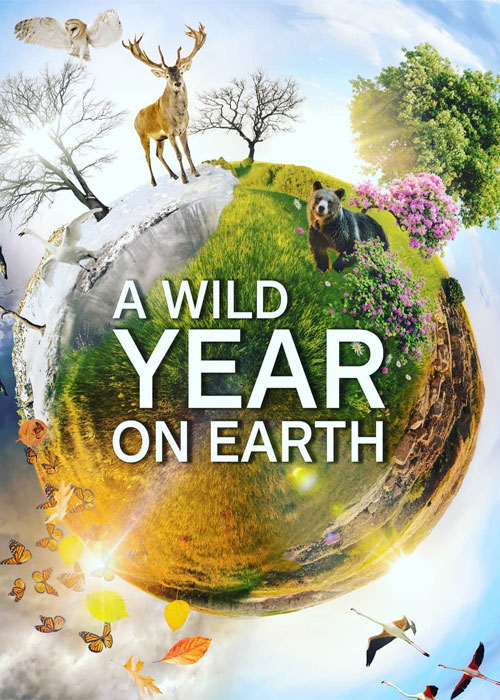دانلود مستند سالی سخت بر روی زمین A Wild Year on Earth 2020
