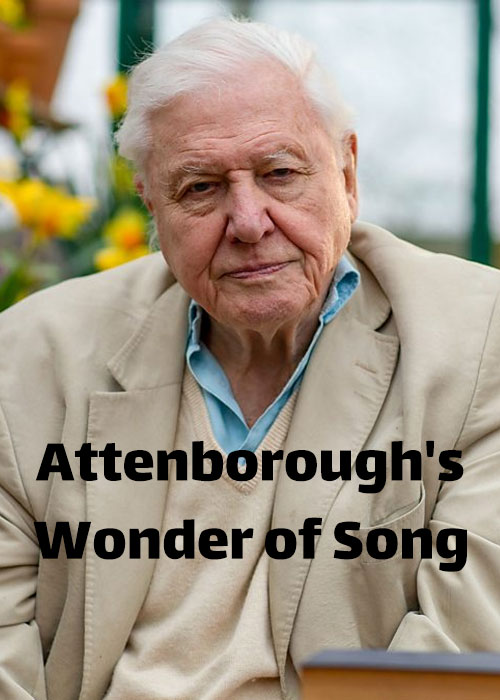 دانلود مستند Attenborough's Wonder of Song 2022